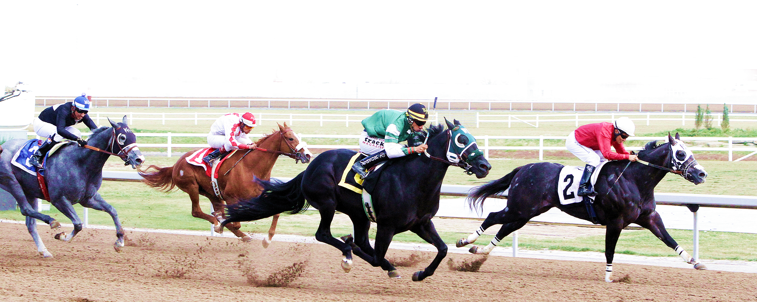 aqhra-off-to-the-races-2 (1)